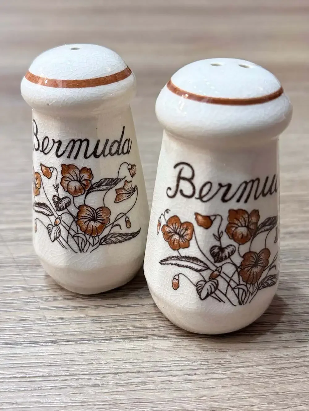 Vintage Bermuda Souvenir Ceramic Floral Salt and Pepper Shakers Set